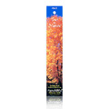 Incense Myrrh Floral  